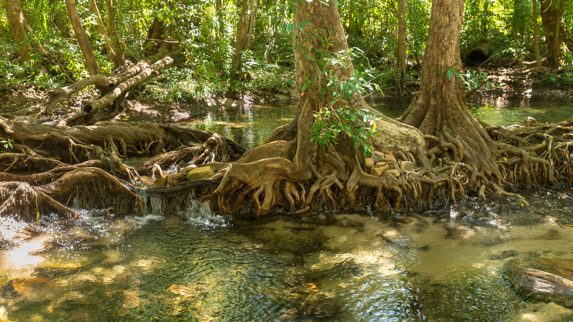 Kakadu National Park - Gubara Pools Walk